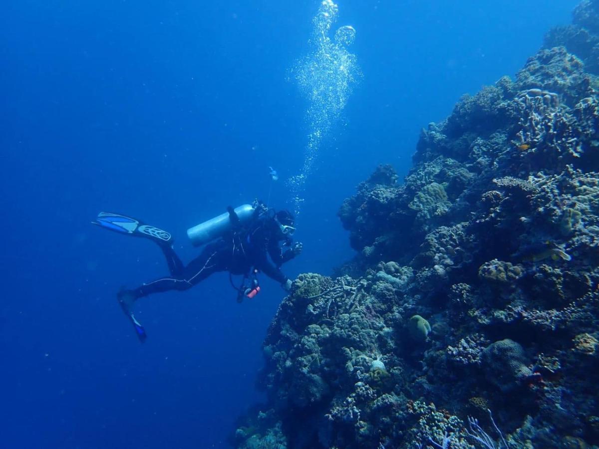 Love'S Beach & Dive Resort โมอัลโบอัล ภายนอก รูปภาพ