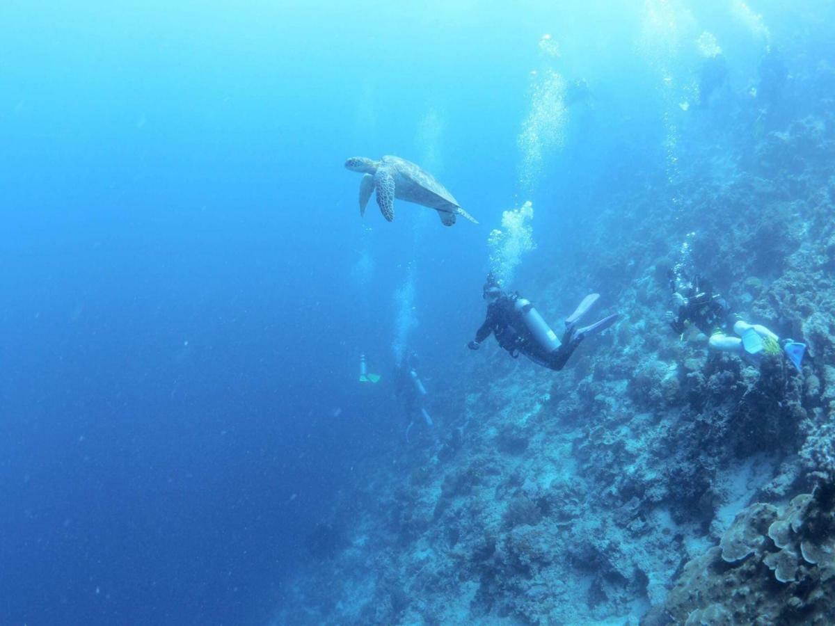 Love'S Beach & Dive Resort โมอัลโบอัล ภายนอก รูปภาพ